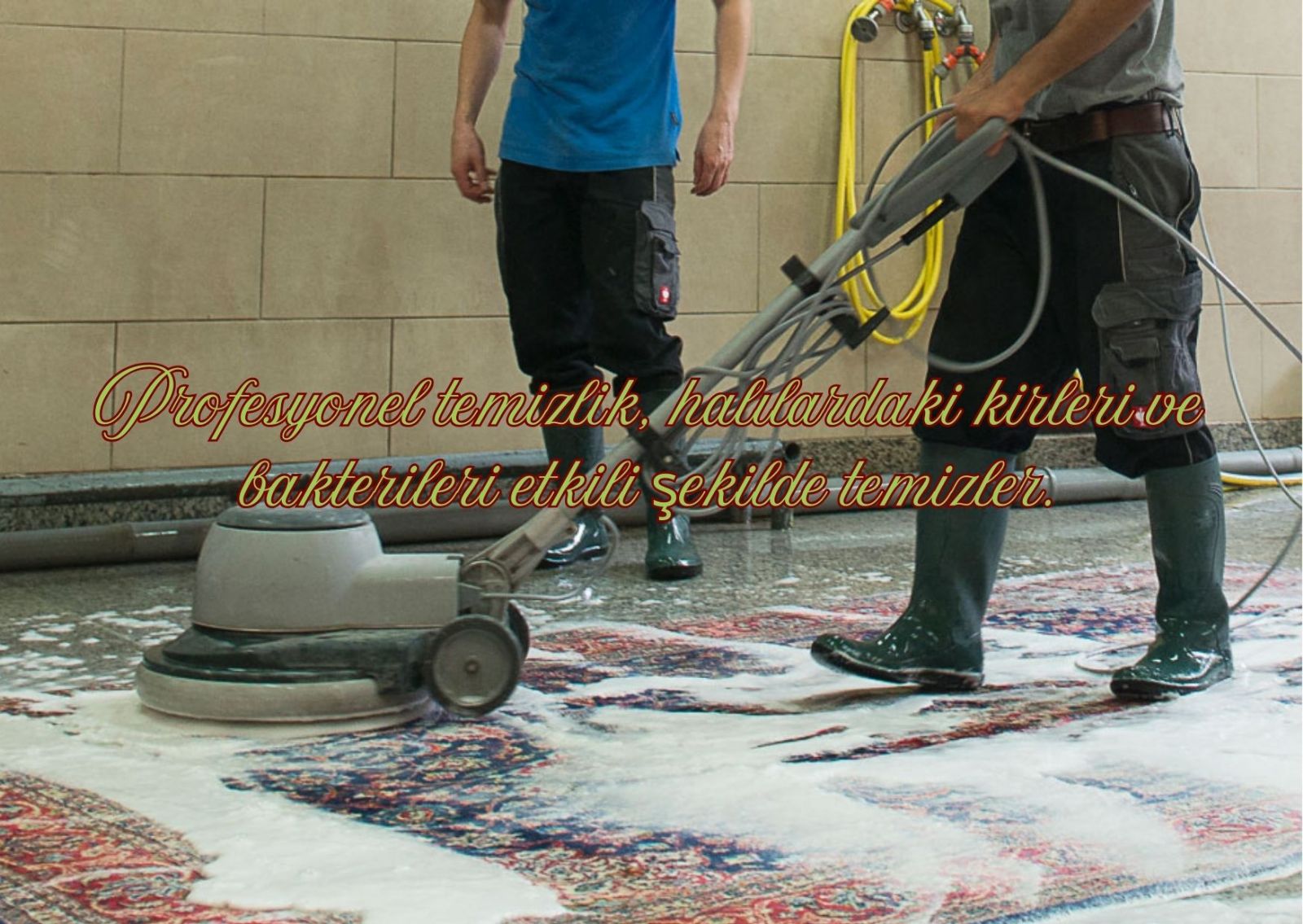 Adana Halı Yıkama Hizmetleri